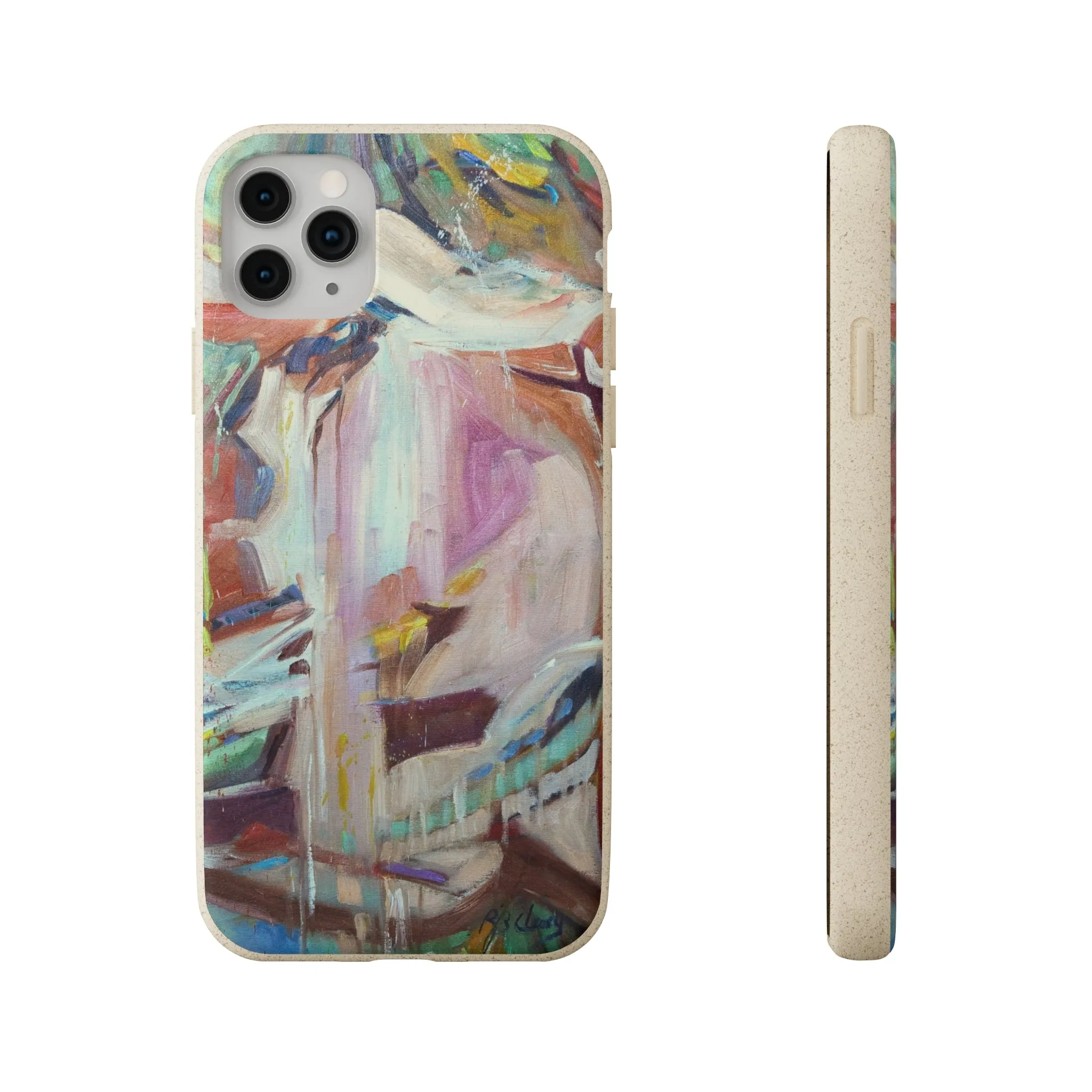 Biodegradable Phone Case with 'All Seasons' Abstract Original Artwork by Barbara Cleary