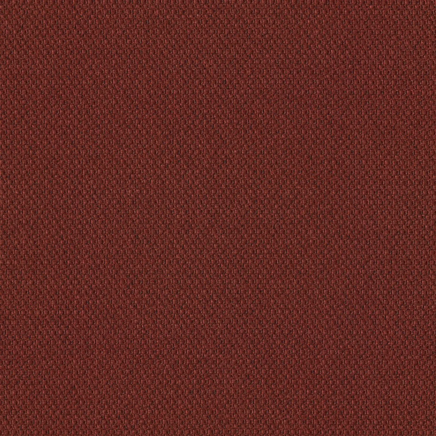 Biotope - Thermal Vent - 4113 - 09